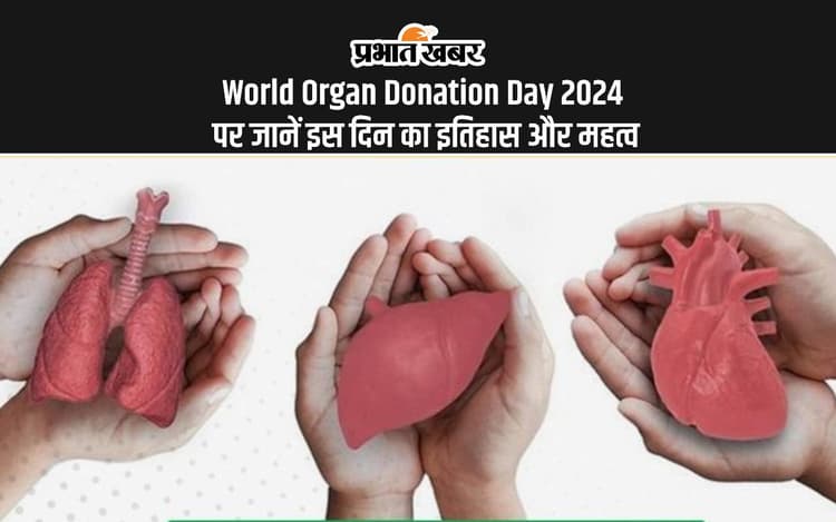 World Organ Donation Day 2024: विश्व अंगदान दिवस आज, जानें क्या है इस दिन का इतिहास और इसका महत्व