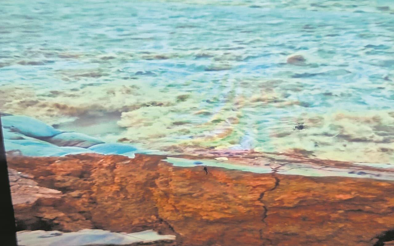 Bihar News: बांका में पुल निर्माण के लिए बना डायवर्सन टूटा, बांका-अमरपुर मुख्य मार्ग पर वाहनों का परिचालन बंद