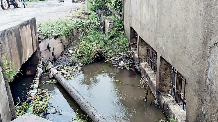 दखल से नाले में बदल गयी है सिंघारन नदी