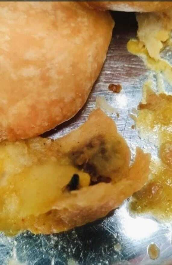 टीएसडीपीएल कर्मचारियों के कचौरी में निकली मक्खी