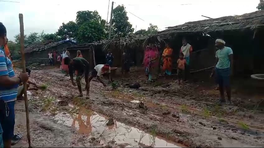 जर्जर सड़क पर धान की रोपनी कर जताया विरोध