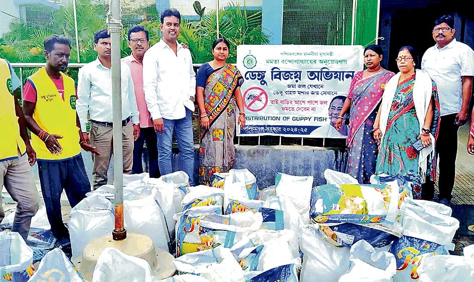 डेंगू रोधी मुहिम : रघुनाथपुर के 13 वार्डों में छोड़ी गयीं हजारों गप्पी मछलियां