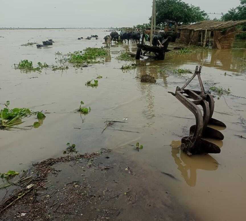 फतुहा : गंगा की धार से हो रहा सड़क का कटाव, दहशत में लोग