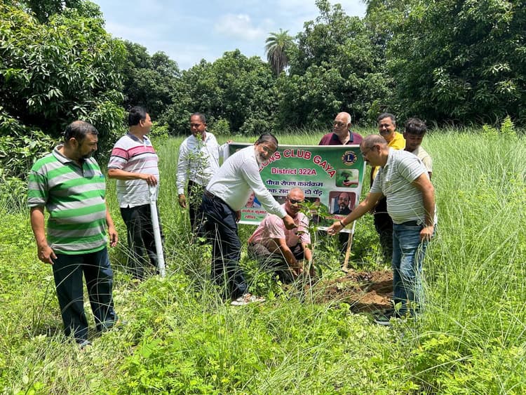पेड़ मां के नाम के तहत पौधारोपण
