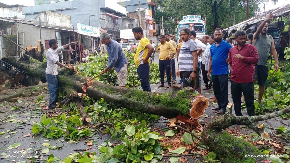 आंधी बारिश में सड़क पर गिरा पेड़, दो घंटे सड़क जाम