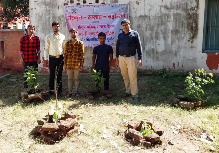 संस्कृत दिवस पर कॉलेज के पुस्तकालय परिसर में किया पौधरोपण