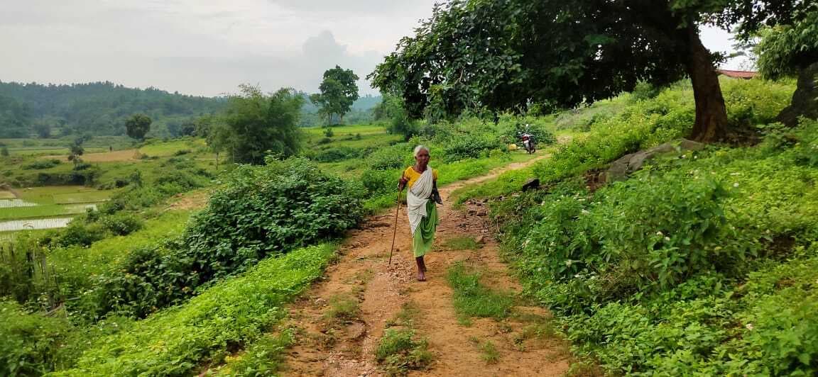 सड़क के अभाव में घर तक नहीं पहुंच सकी एंबुलेंस, इलाज में देरी से गर्भवती की मौत