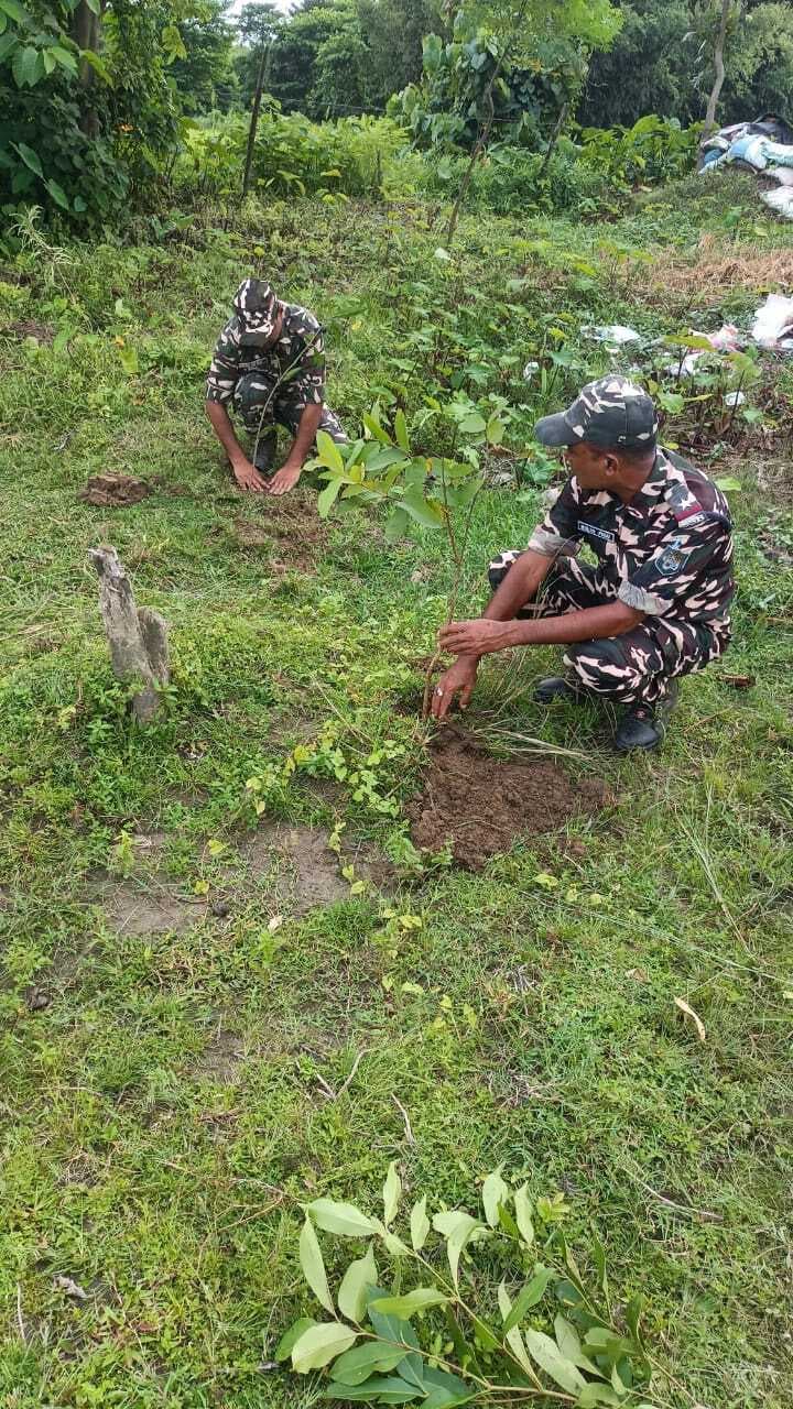 एसएसबी जवानों ने किया पौधरोपण