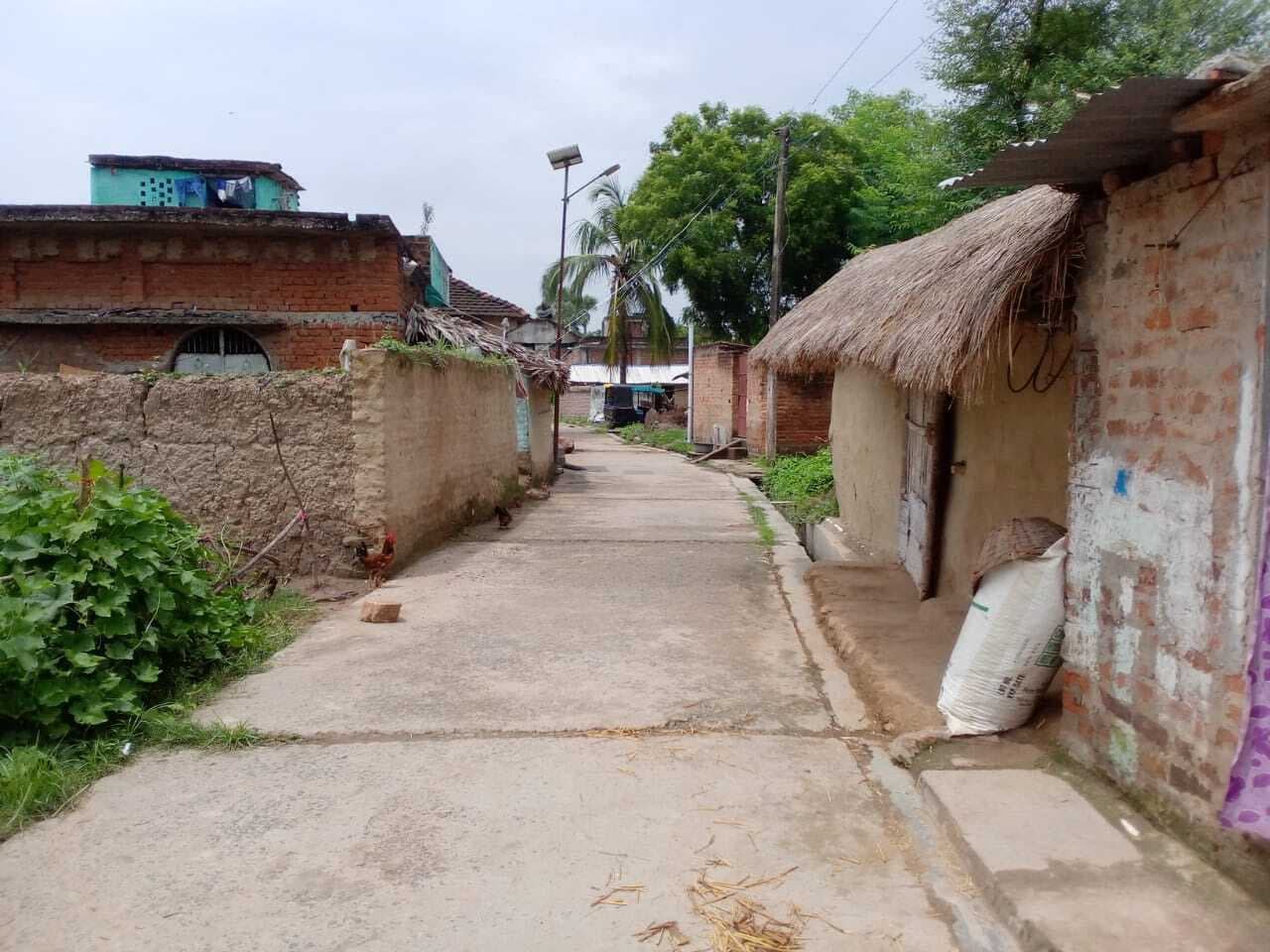 ट्रैक्टर चालक की हत्या के बाद मैनमा गांव के अधिकतर ग्रामीण घर छोड़कर फरार