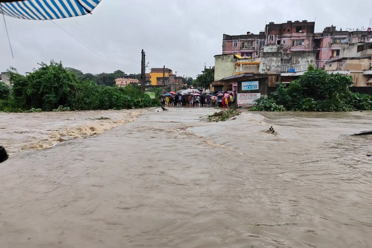 School Closed: झारखंड के इस जिले में 15 जुलाई को 12वीं तक के सभी स्कूल रहेंगे बंद, डीसी ने जारी किया आदेश