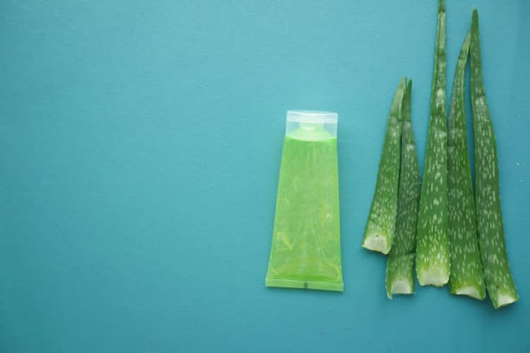 Skin Care Tips: एलोवेरा के इस्तेमाल से त्वचा संबंधी समस्याओं को कहें अलविदा