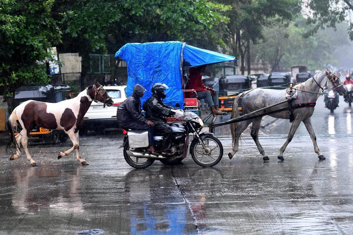 Kal Ka Mausam : अगले 48 घंटे राजस्थान में होगी भारी बारिश, जानें मौसम विभाग ने क्या दी जानकारी
