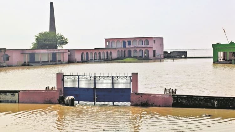 Munger News : दियारा को डुबोते शहर में भी घुसा बाढ़ का पानी, मची अफरातफरी