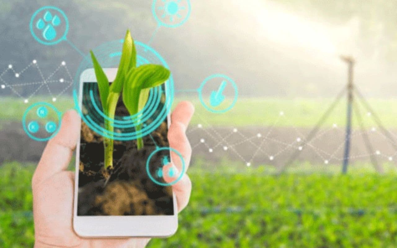 Bihar Digital Crop Survey : 20 जिलों के 1385 गांवों में सर्वेक्षण शुरू, डिजिटल क्रॉप सर्वे के तहत तैयार हो रहा डाटा