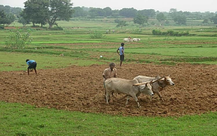 Bihar Land Survey : जमीन सर्वे में शुरू हुआ खून-खराबा, वंशावली बनाने गांव आये व्यक्ति को पट्टीदारों ने मार डाला