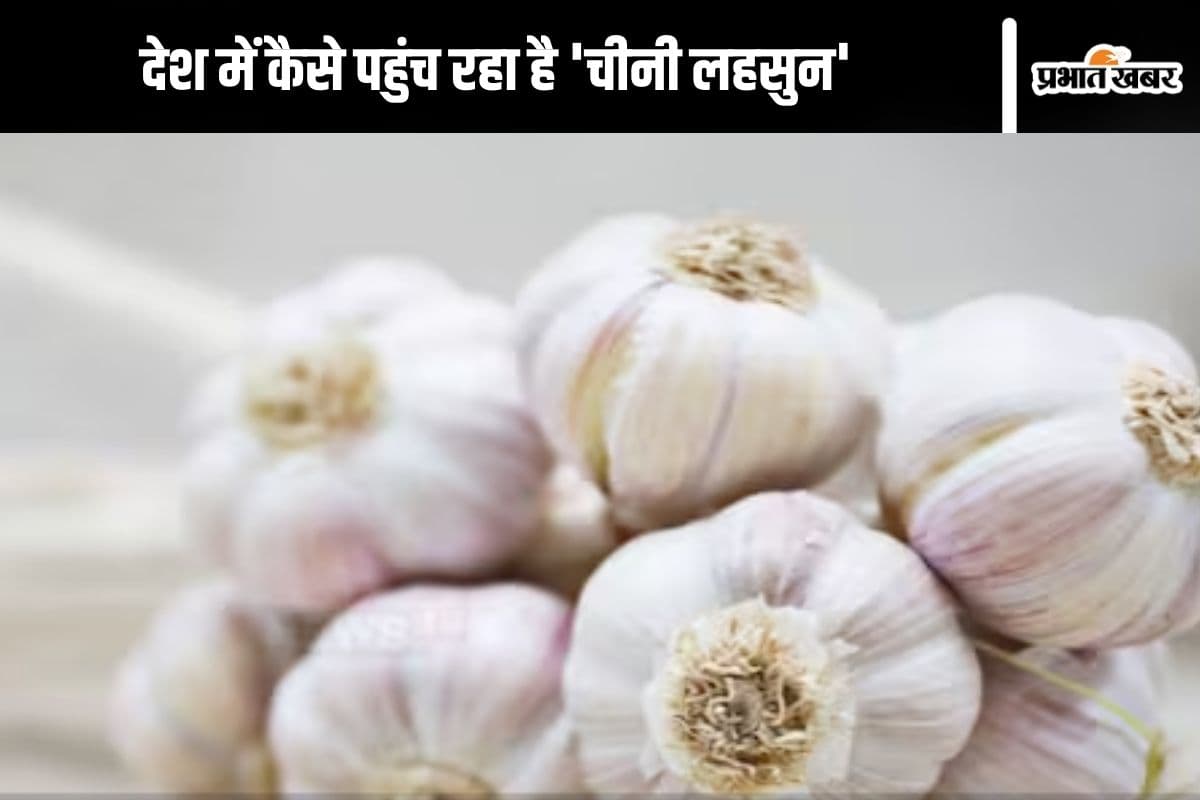 Chinese Garlic : कहीं आप ‘चीनी लहसुन’ तो नहीं खा रहे? कोर्ट ने पूछा- देश में कैसे आ रहा है चाइनीज लहसुन, जानें अंतर