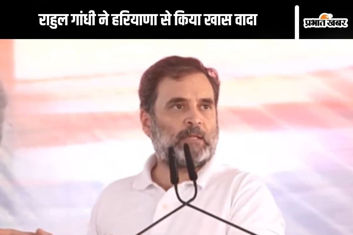 Haryana Elections 2024: एलपीजी सिलेंडर 500 रुपये में, महिलाओं के खाते में हर महीने 2000, राहुल गांधी का वादा