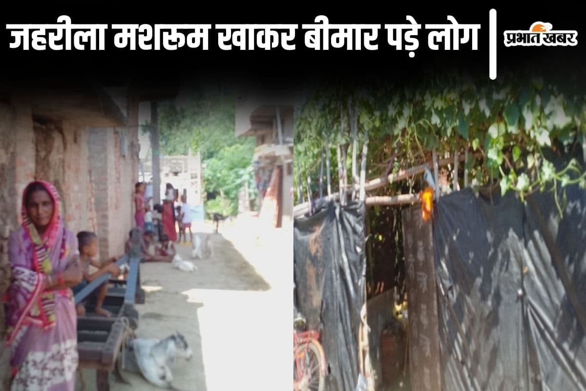 Bihar News: बांका में तीन परिवार ने खा लिया जहरीला मशरूम, आधी रात को 14 लोगों की बिगड़ी हालत