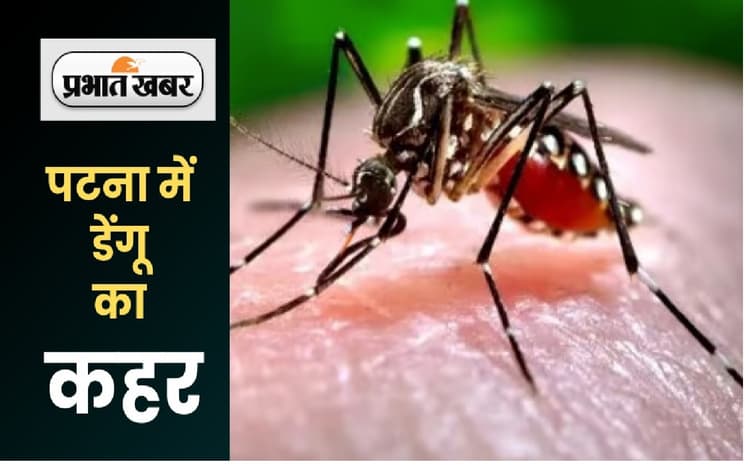 Dengue News: पटना जिले में डेंगू ने तोड़ा रिकार्ड, 24 घंटे में मिले 70 नये मरीज...