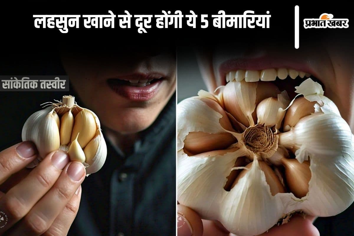 Daily Garlic Eating Benefits: लहसुन खाने से दूर होती हैं ये 5 बीमारियां