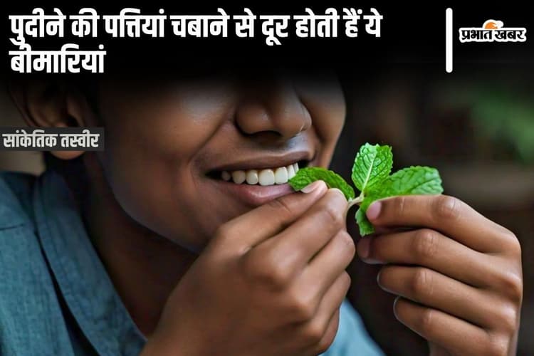 Pudina Ke Fayde: पुदीने की पत्तियां चबाकर खाने से कभी नहीं होंगी ये 5 बीमारियां