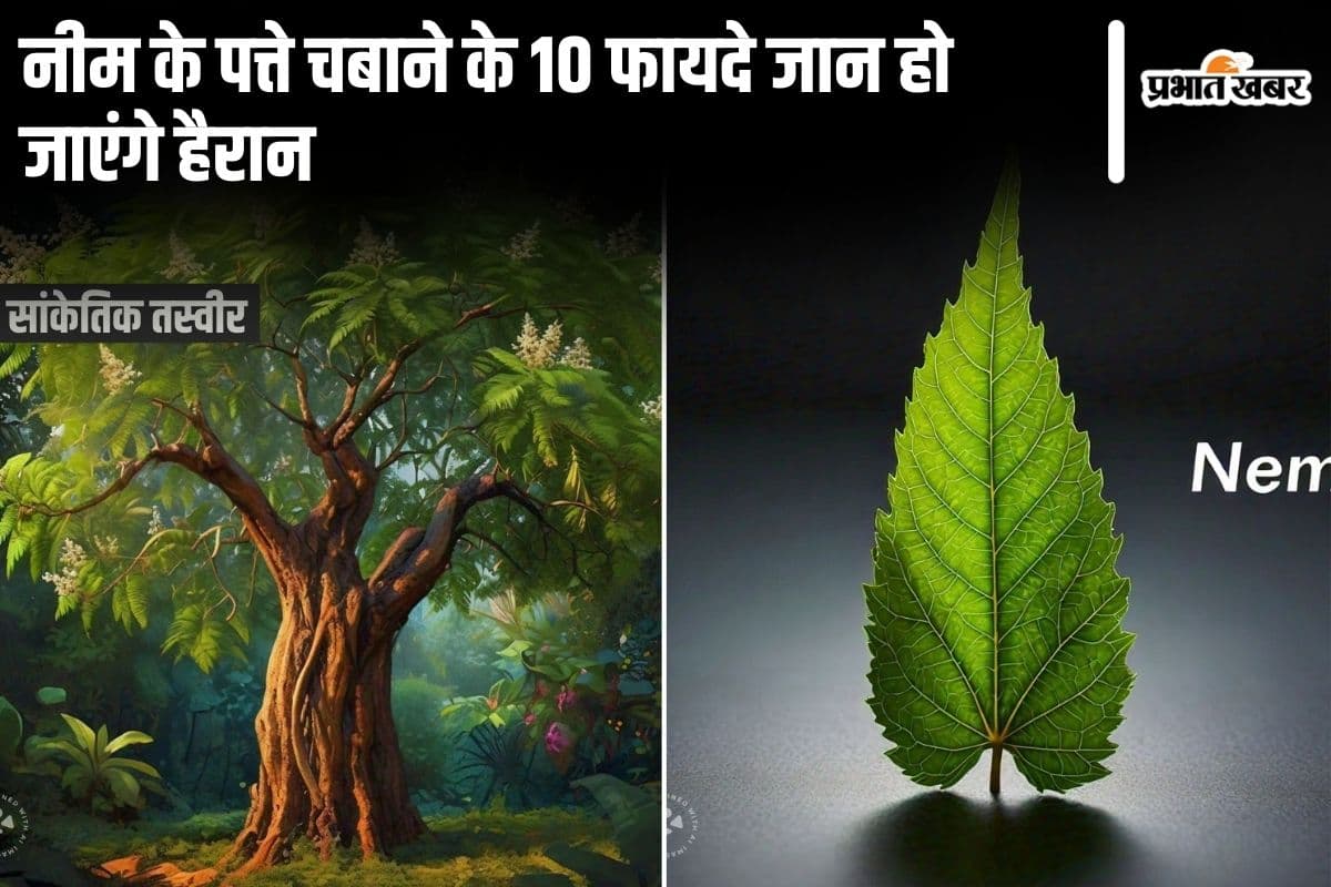 Neem Leaf Benefits: नीम के पत्तों को चबाकर खाने के 10 फायदे जान रह जाएंगे हैरान