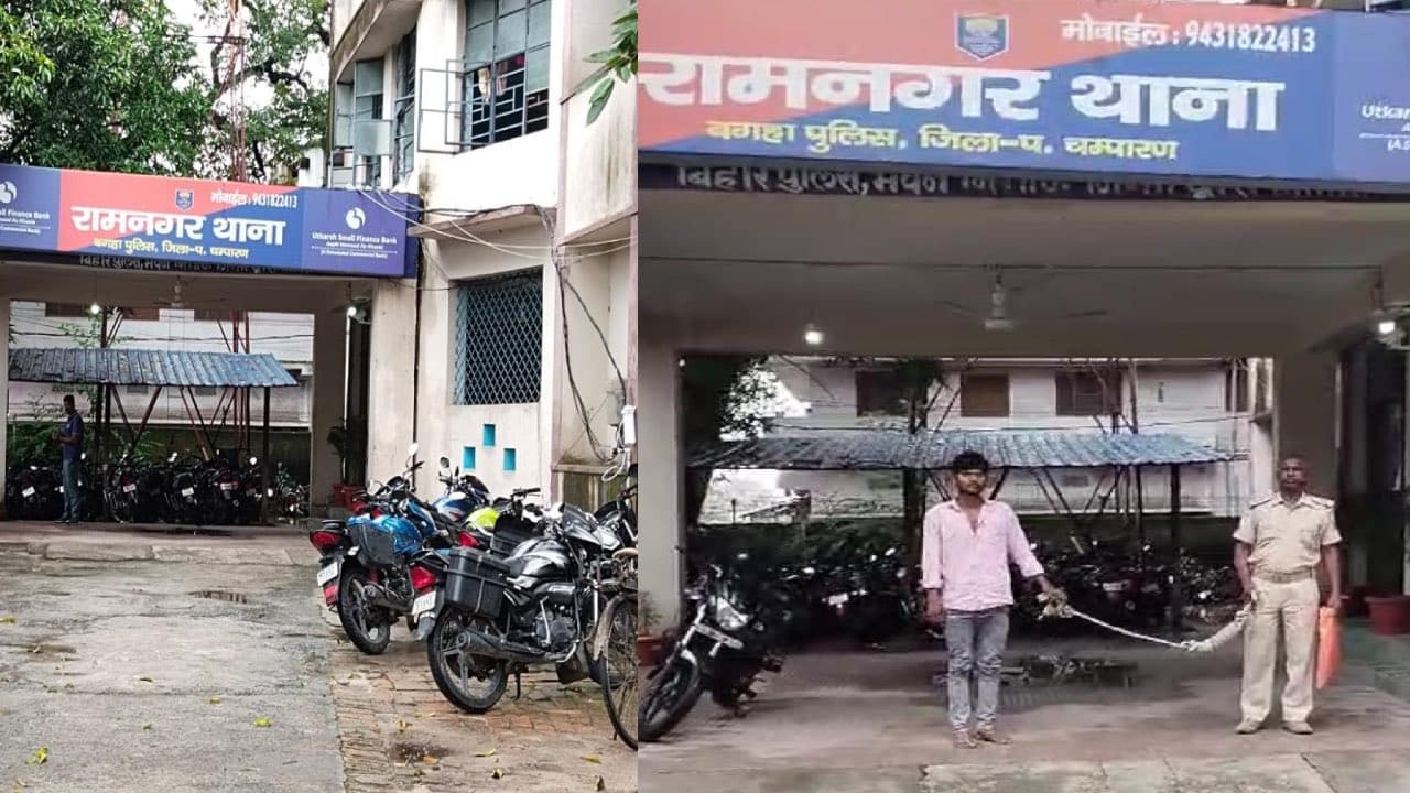 Bihar News: बगहा में नाबालिग के साथ दुष्कर्म के आरोपी को पुलिस ने किया गिरफ्तार Bihar News: बगहा में नाबालिग के साथ दुष्कर्म के आरोपी को पुलिस ने किया गिरफ्तार