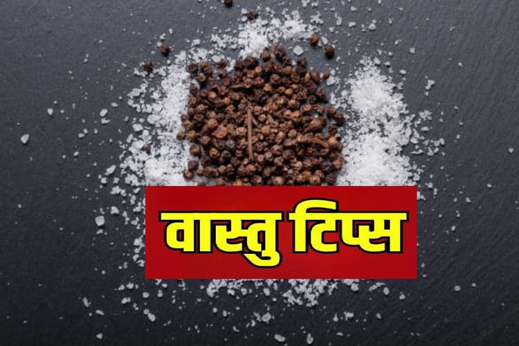 Vastu Tips: इन चीजों का हाथ से गिरना बेहद अशुभ है संकेत, बन जाएंगे राजा से रंक