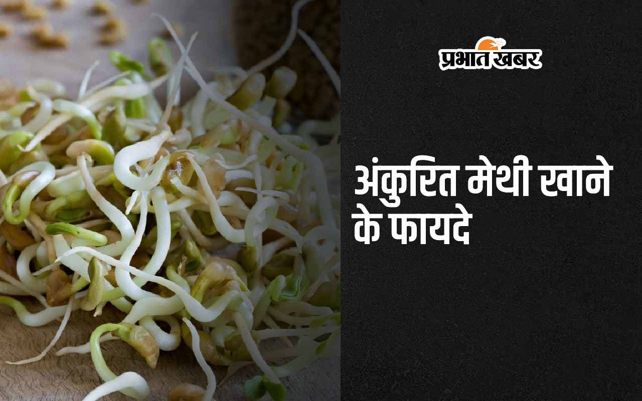Sprouted Fenugreek Benefits: рдЕрдВрдХреБрд░рд┐рдд рдореЗрдереА рдЦрд╛рдиреЗ рдХреЗ 5 рдЕрджреНрднреБрдд рдлрд╛рдпрджреЗ рдЬрд╛рди рд░рд╣ рдЬрд╛рдПрдВрдЧреЗ рджрдВрдЧ