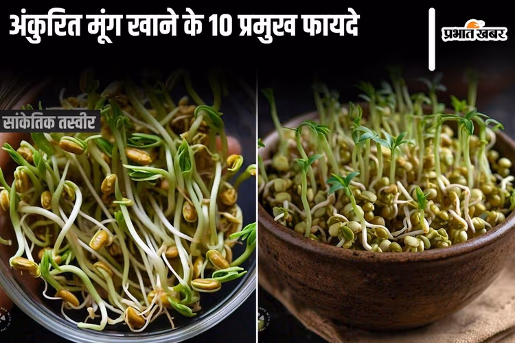 Sprouted Moong News: यहाँ जानिए अंकुरित मूंग खाने के 10 प्रमुख फायदे