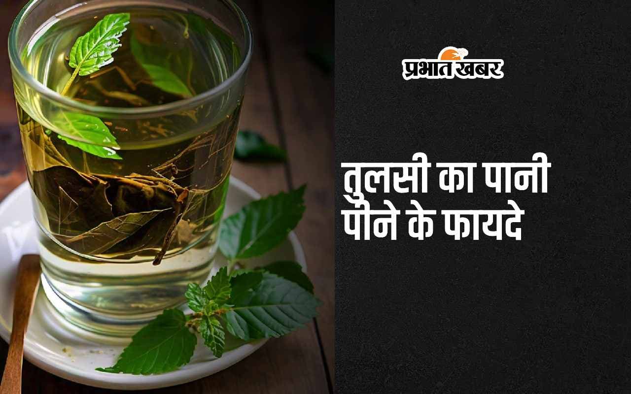 Tulsi Water Benefits: рддреБрд▓рд╕реА рдХреА рдкрддреНрддрд┐рдпреЛрдВ рдХрд╛ рдкрд╛рдиреА рдкреАрдиреЗ рд╕реЗ рджреВрд░ рд╣реЛрддреА рд╣реИрдВ рдмреАрдорд╛рд░рд┐рдпрд╛рдВ, рдорд┐рд▓рддреЗ рд╣реИрдВ 5 рдЕрджреНрднреБрдд рдлрд╛рдпрджреЗ