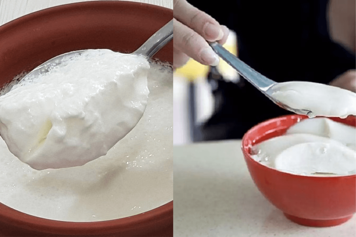 Curd Tradition: काम या यात्रा से पहले दही खिलाने की परंपरा के पीछे का क्या हैं रहस्य Curd Tradition: काम या यात्रा से पहले दही खिलाने की परंपरा के पीछे का क्या हैं रहस्य