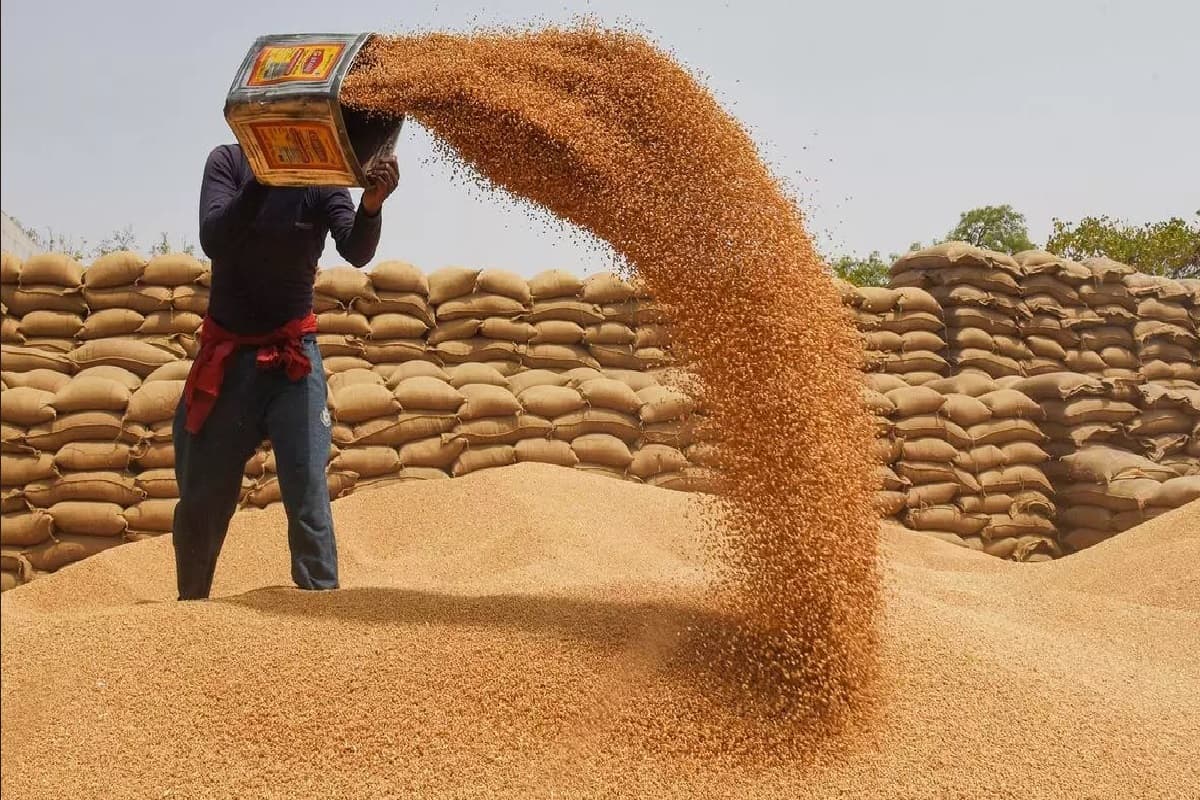 गरीबों का आटा नहीं होगा गीला, गेहूं के जमाखोरों पर सरकार का प्रहार