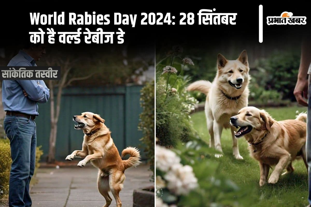 World Rabies Day 2024: 28 सिंतबर को है वर्ल्ड रेबीज डे, हर साल कुत्ते के काटने से इतने लोगों की जाती है जान, यहां देखिए आंकड़े
