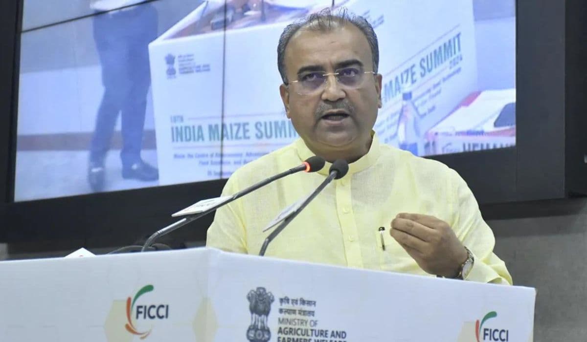 bihar agriculture news| Bihar News: Government will cooperate in setting up maize based industry in Bihar, will get huge subsidy bihar agriculture news| Bihar News: Government will cooperate in setting up maize based industry in Bihar, will get huge subsidy