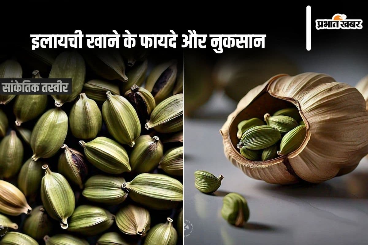 Health News: इलायची खाने के फायदे और नुकसान
