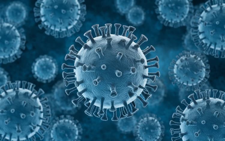 EV D68 Virus : USA में फैला यह खतरनाक वायरस, तेजी से बना रहा बच्चों को अपना शिकार