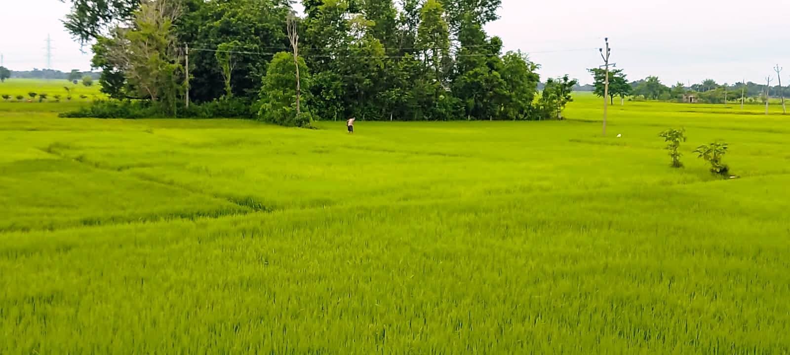झमाझम बारिश से लोगों को गर्मी से मिली राहत, मौसम हुआ सुहाना