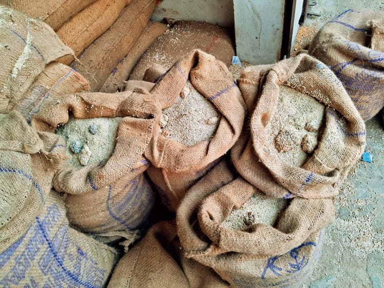 गरीबों को देने के लिए सड़े हुए अनाज की हो रही आपूर्ति