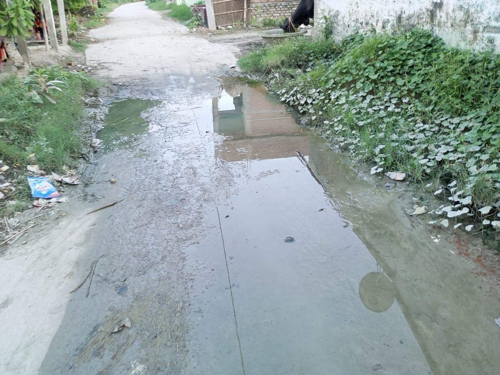 Waterlogging:जलजमाव के संकट से जूझ रहीं उजियारपुर की कई पंचायतें