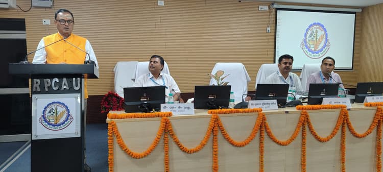 GI tagging of honey: जीआई टैग हासिल होने के बाद मधु का दोगुना से ज्यादा मिल सकेगा दाम: कुलपति