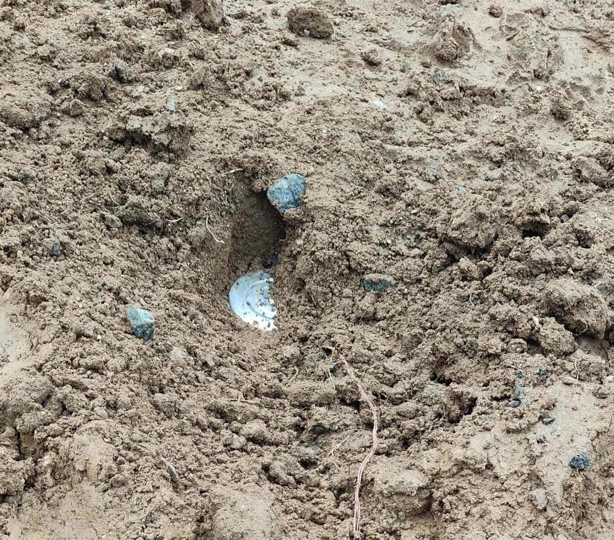 एसएसबी ने दो आइईडी को किया निष्क्रिय