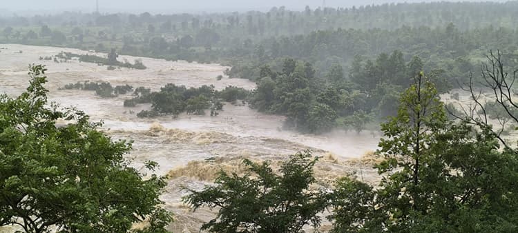 Giridih News. कहीं गिरा घर, तो कहीं गिरे पेड़, जल जमाव से हो रही परेशान