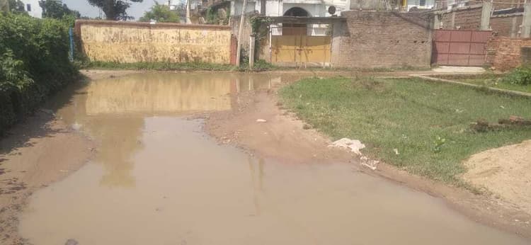 मुहल्लों में जगह-जगह जलजमाव, पनप रहे मच्छर के लार्वा