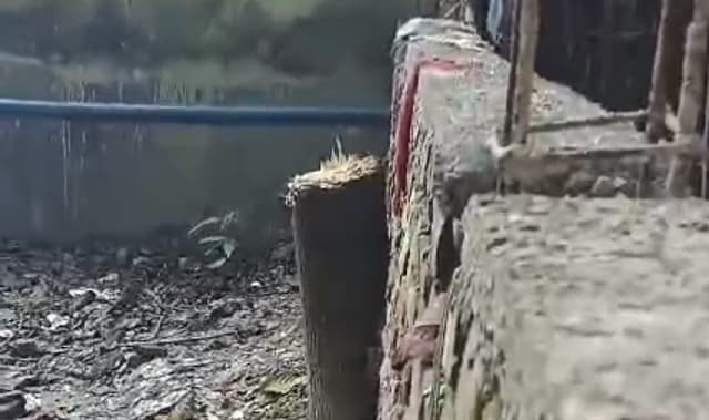 सरकारी पेड़ काटने के विवाद में मुखिया प्रतिनिधि व वनपोषक में मारपीट