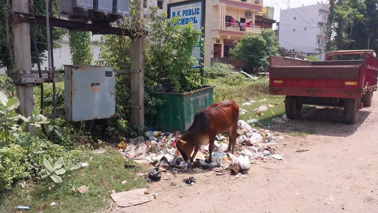 नगर पंचायत क्षेत्र में स्वच्छता सेवा पखवाड़ा बना मखौल, विभिन्न वार्डों में फैली है गंदगी