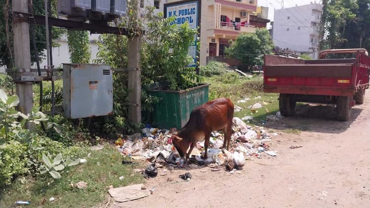 नगर पंचायत क्षेत्र में स्वच्छता सेवा पखवाड़ा बना मखौल, विभिन्न वार्डों में फैली है गंदगी