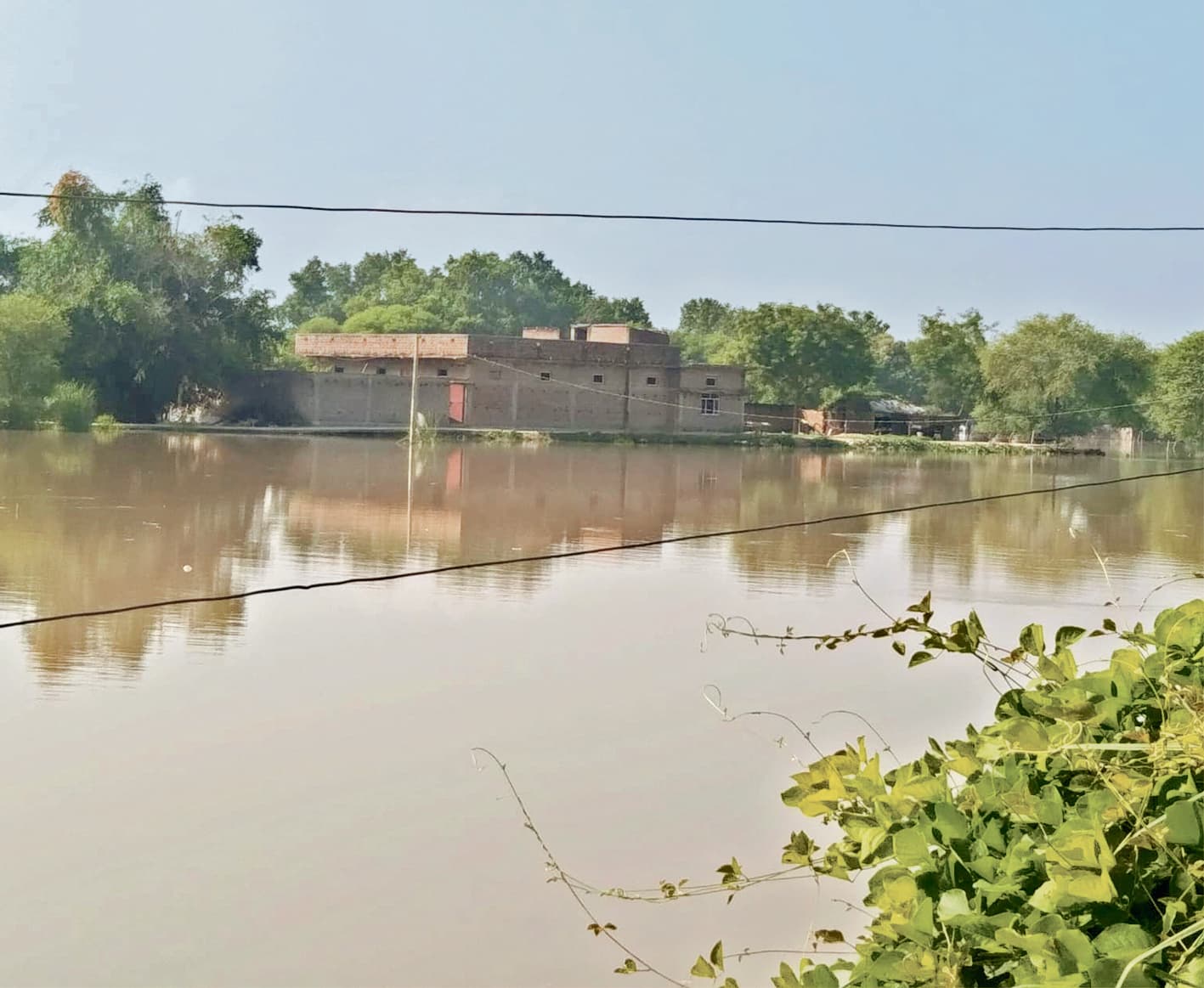 बेपटरी है खानपान, आफत में जान