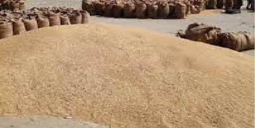 15 नवंबर से होगी धान की खरीदारी