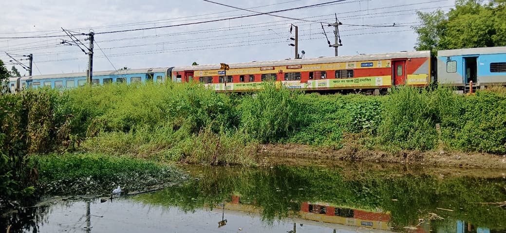 Chhapra News : गंगा के निचले इलाकों में जल स्तर में कमी आने से पटरी पर लौट रहा है जनजीवन